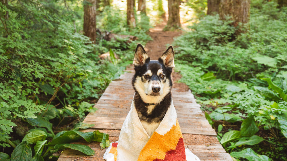 Mt Hood Adventures at Lost Lake