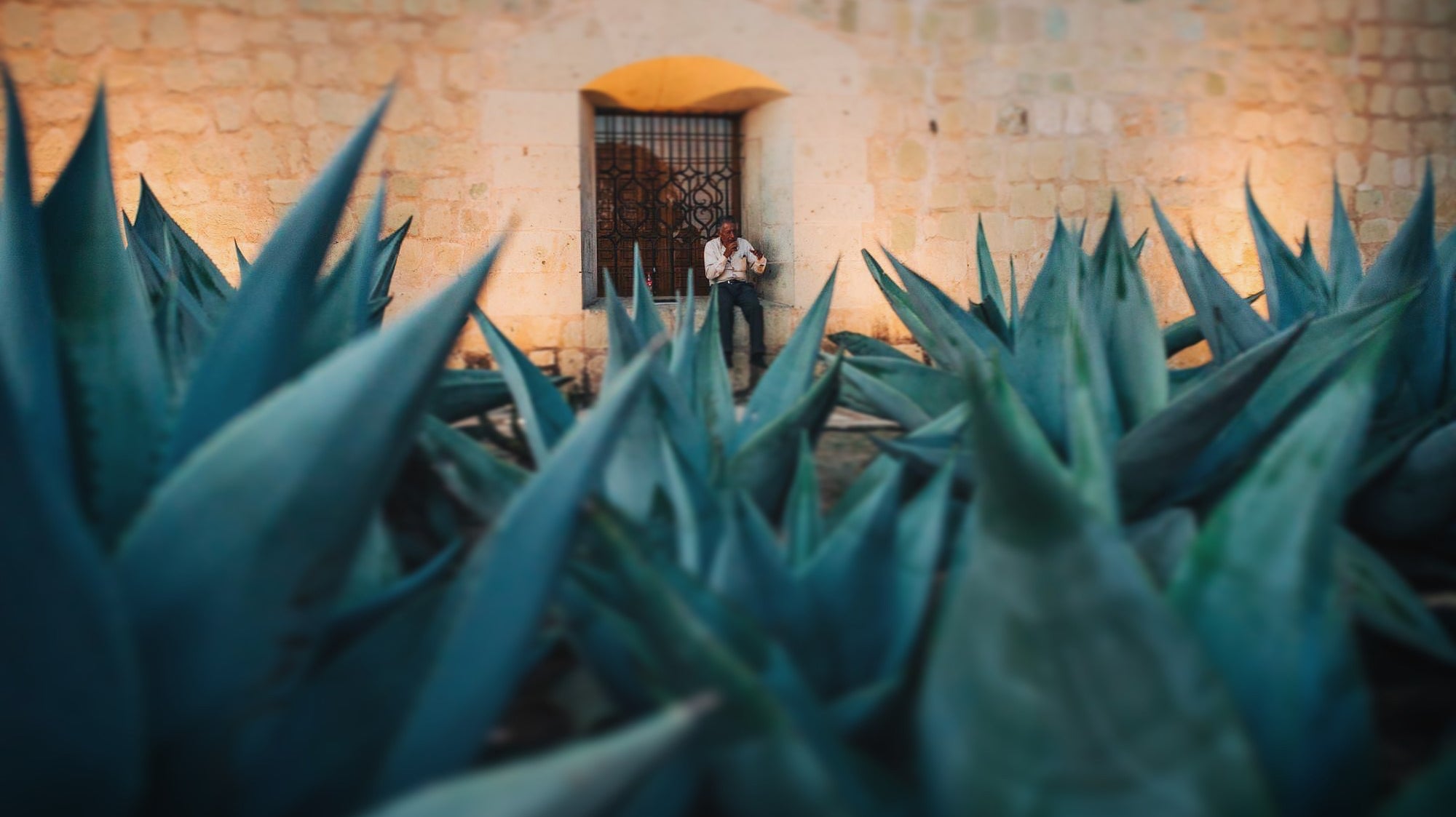 Mexican Blankets For My Mother