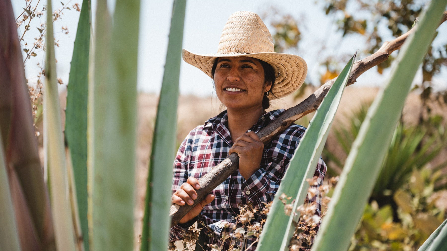 Sympony of Fire - Mezcal and Clay