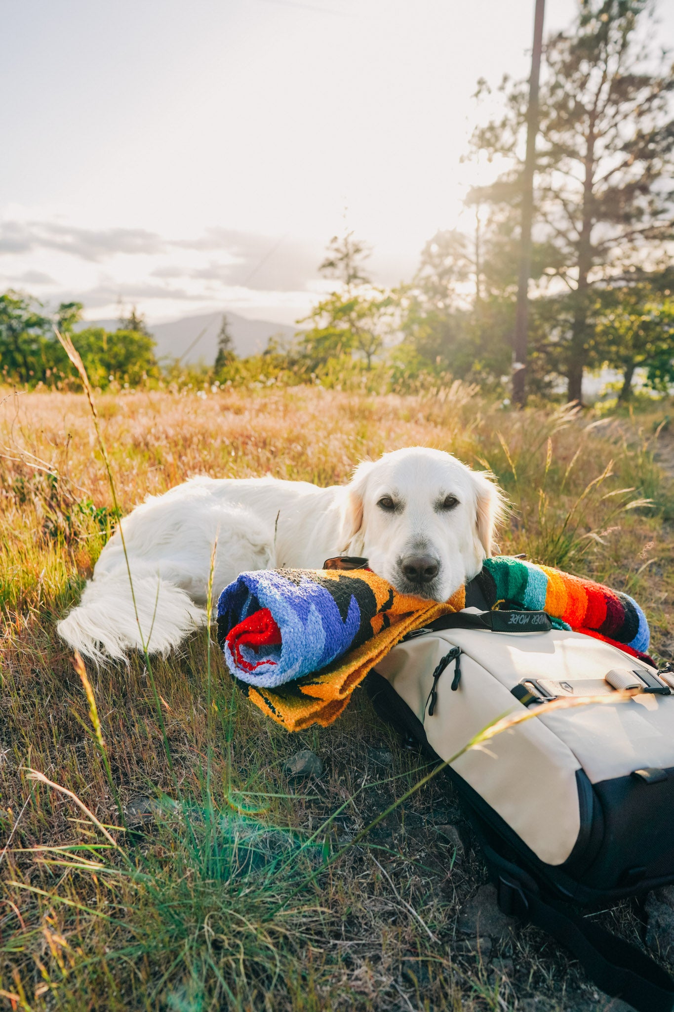 Dog laying on colorful handwoven Mexican blanket in a field