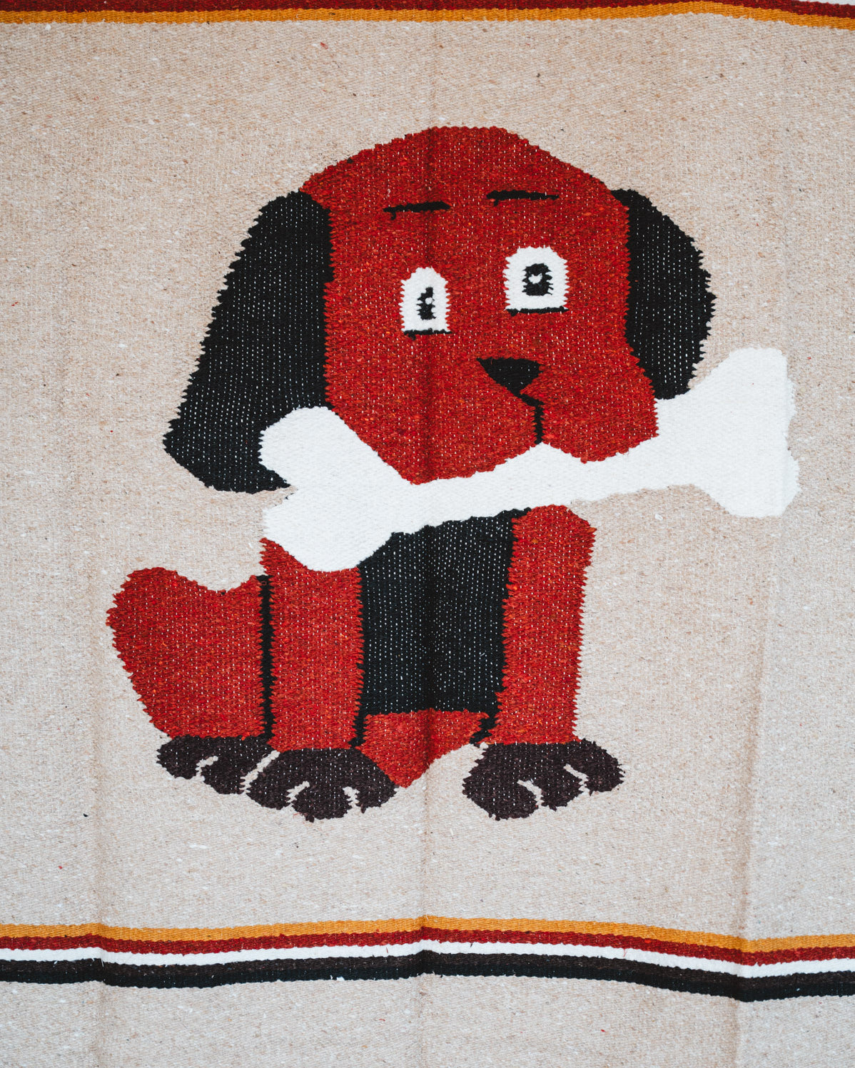 Handwoven Mexican Dog blanket in modern industrial setting