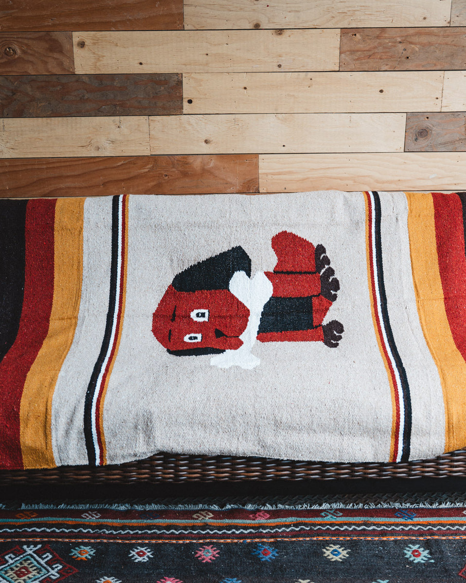 Handwoven Mexican Dog blanket in modern industrial setting