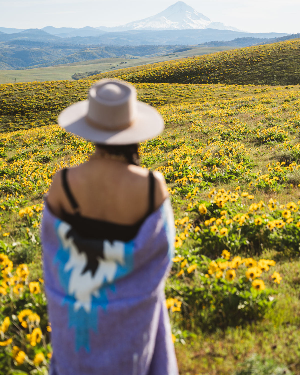 Person standing in a field of yellow flowers with a mountain in the background