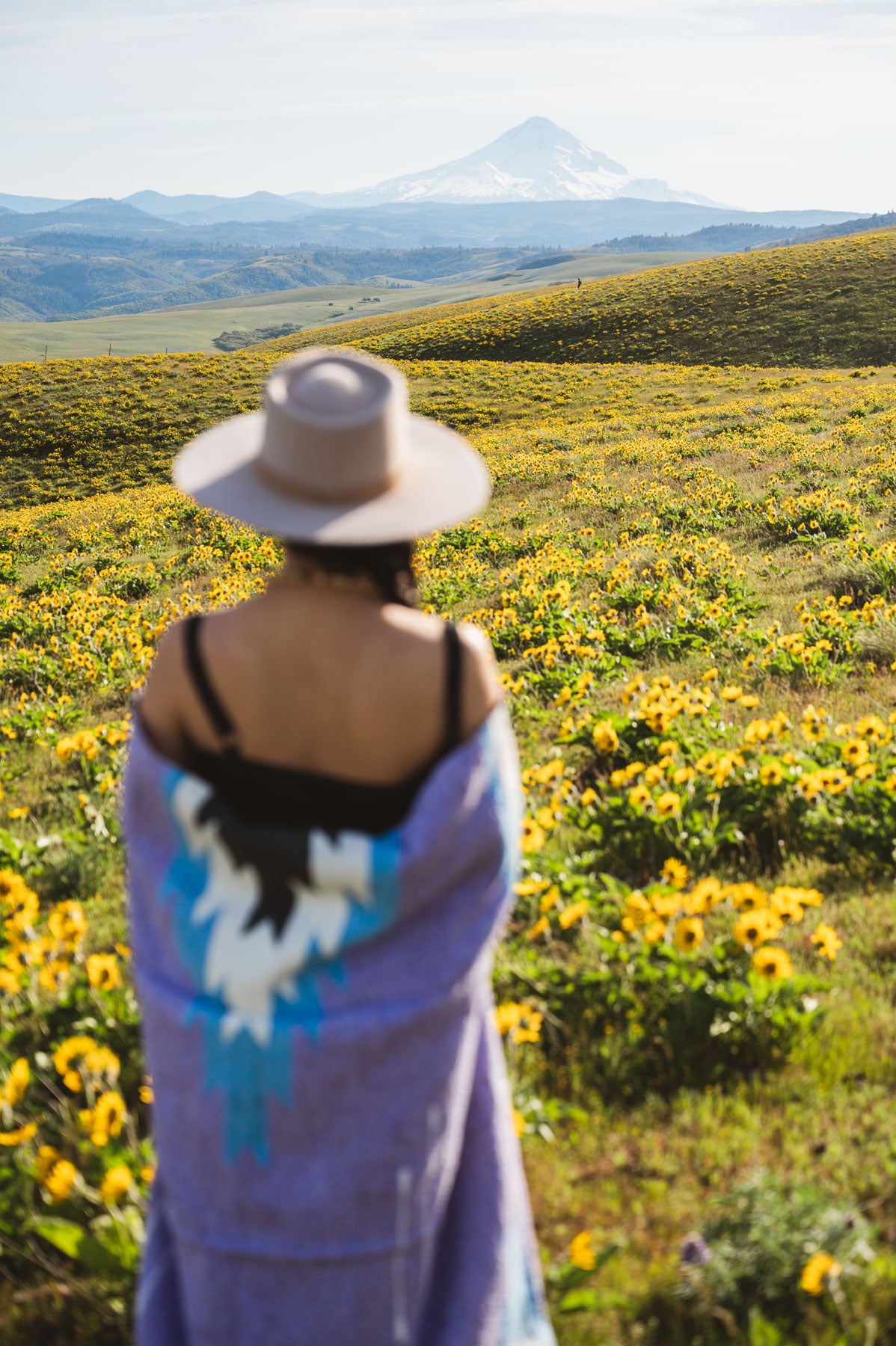 Person standing in a field of yellow flowers with a mountain in the background