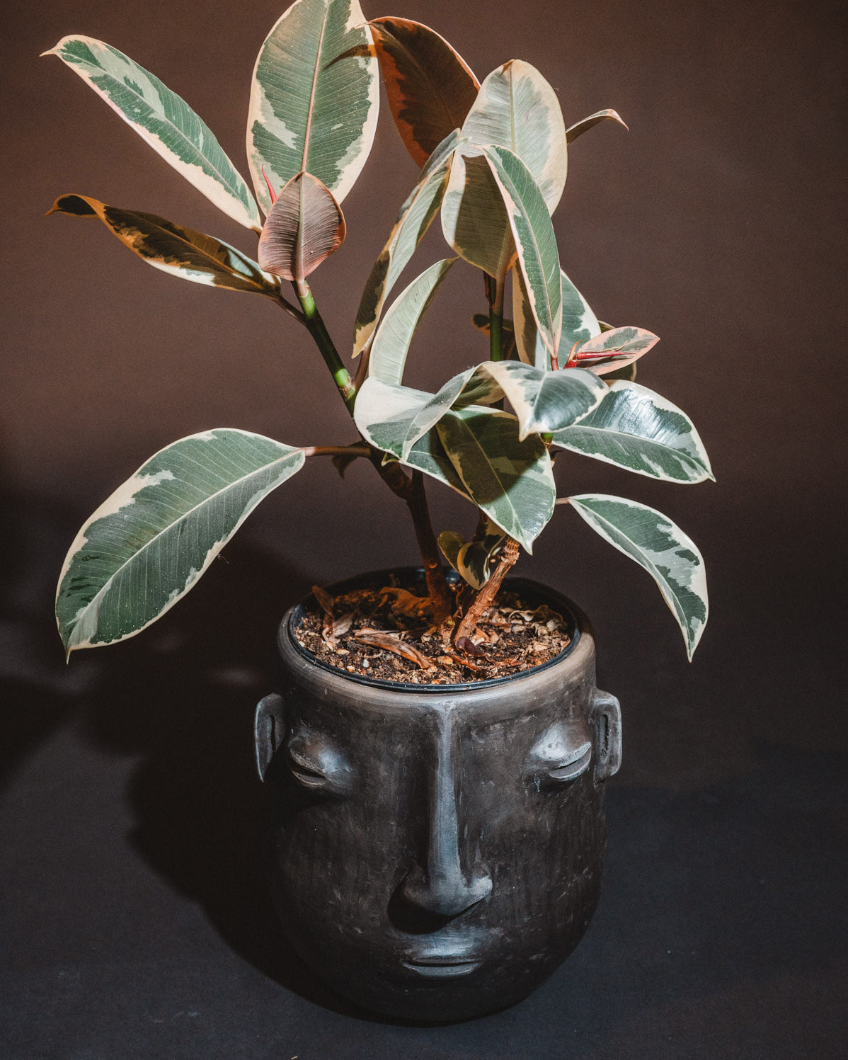Barro Negro in Oaxaca planters - macetas with faces