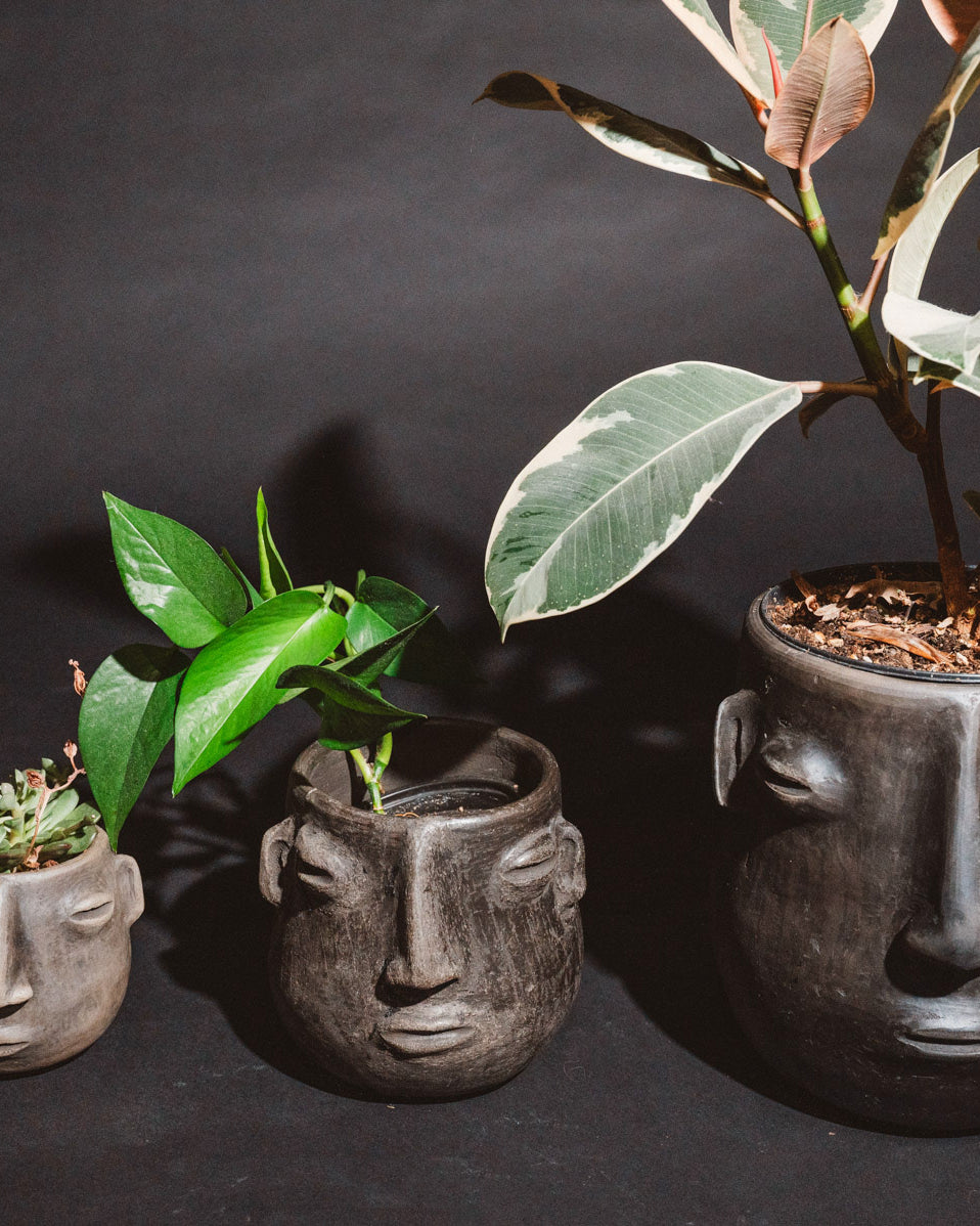 Handmade oaxacan black clay planters with plants sitting inside them on a black background