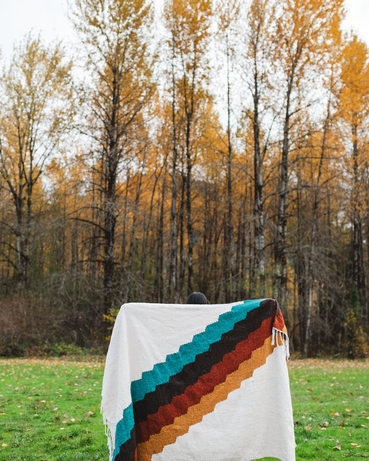 Retro diagonal striped blanket
