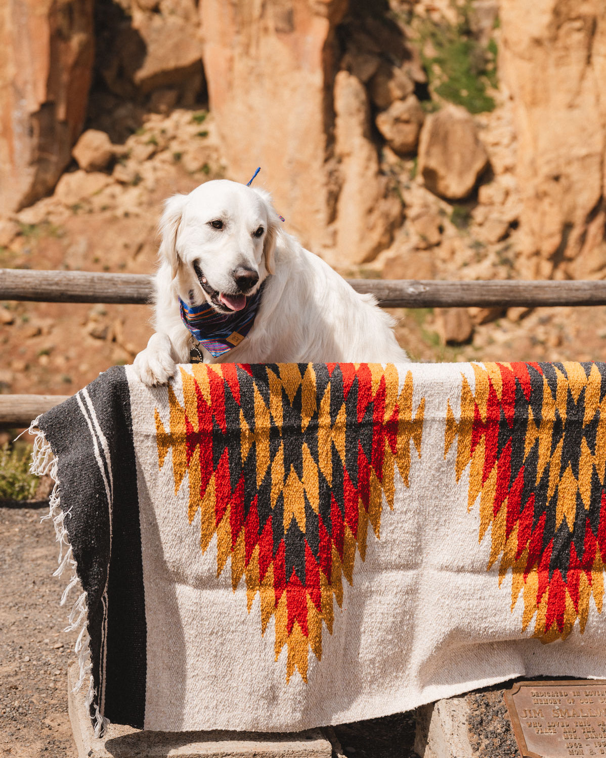 Dog standing on Handwoven southwest style blanket at smith rock state park oregon