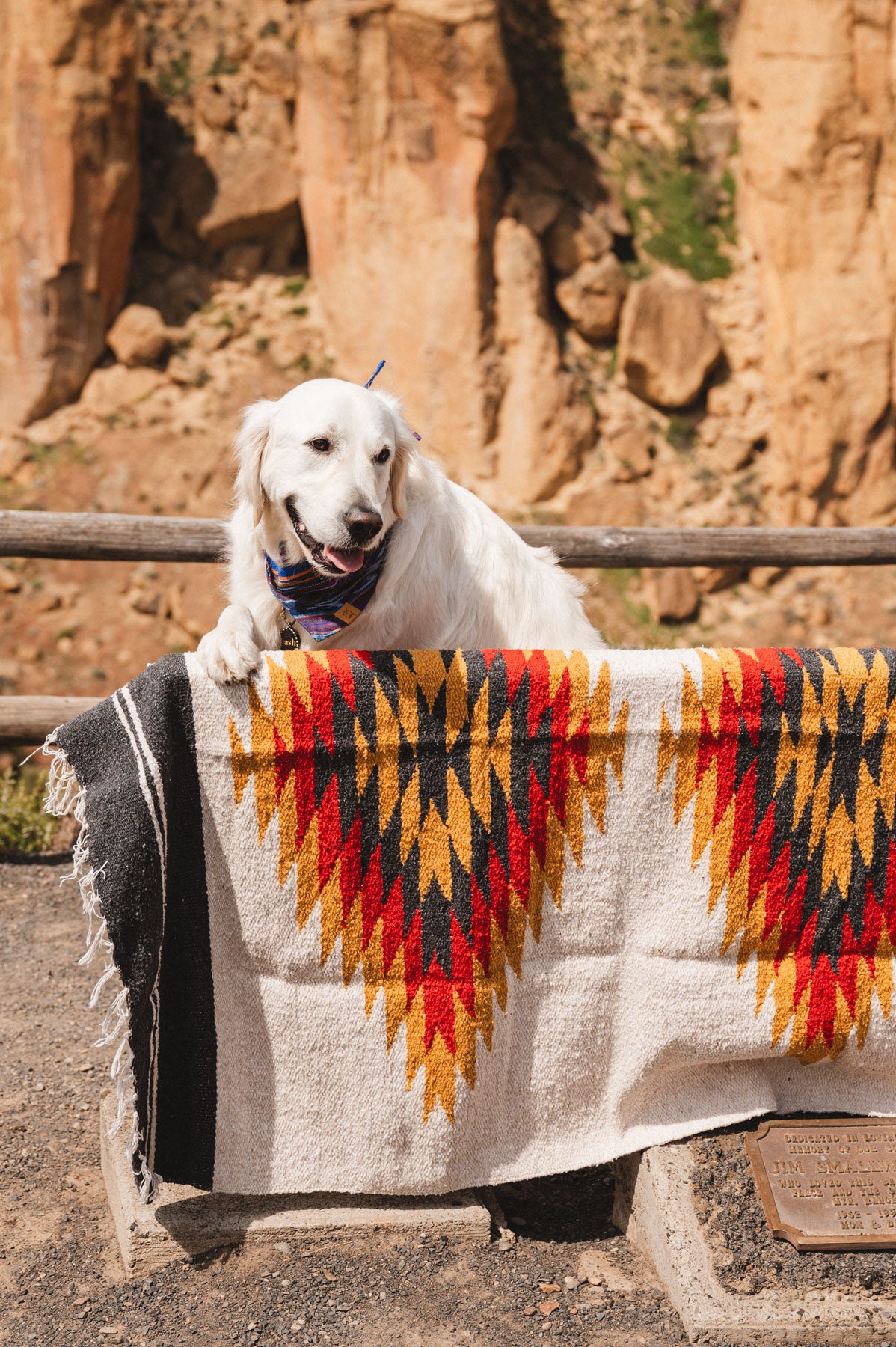 Dog standing on Handwoven southwest style blanket at smith rock state park oregon