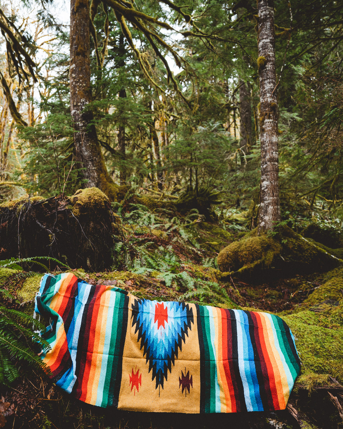Rainbow Diamond handwoven blanket in the forest