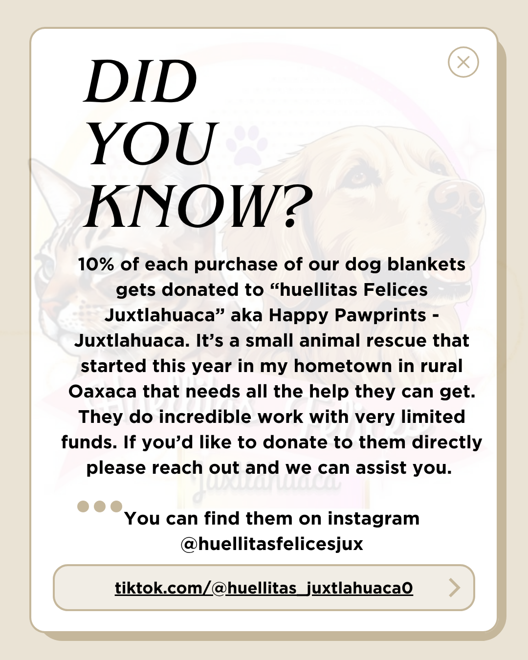 Dog Rescue Explainer Graphic